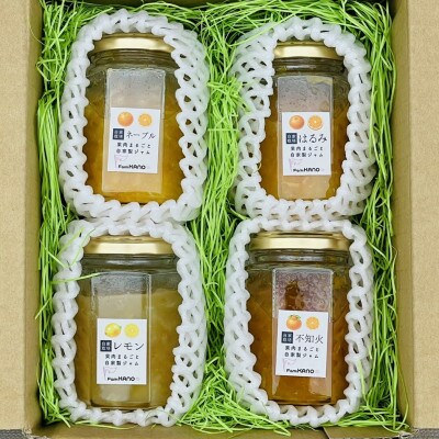 柑橘農家手作り! 無添加柑橘ジャム 4種食べ比べセット　◇果肉丸ごとたっぷり使用◇