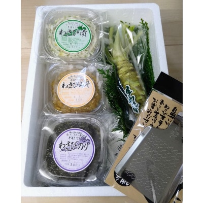 「オクシズ」梅ヶ島産、本わさびとわさびの加工品3種類&おろし金のセット