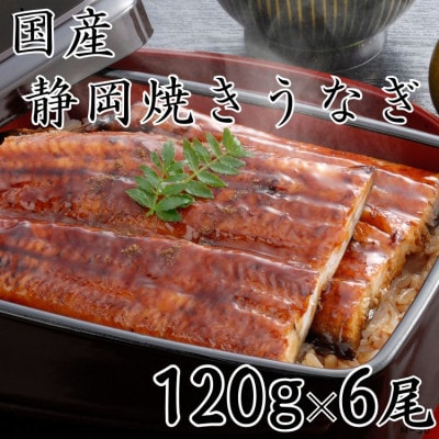 【国産】静岡焼きうなぎ　120g×6　合計720g