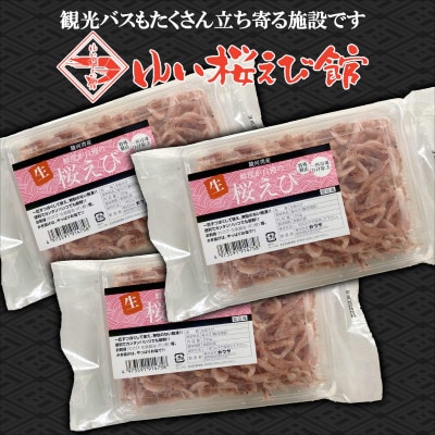 静岡の海鮮・海産物(魚介類)　駿河湾の海の幸　生桜えび　100g×3個セット