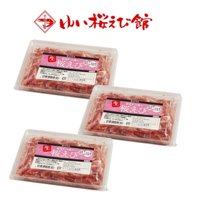 静岡特産 駿河湾産 由比港水揚げ 生桜えび 100g×3個セット