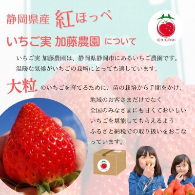【冷凍】静岡県産いちご 紅ほっぺ 1キロ