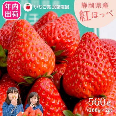 【先行予約受付中】【年内配送!!】静岡県産紅ほっぺ 280g×2パック