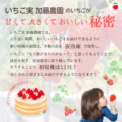 紅ほっぺソルベ 紅ほっぺみるくセット(各3個入)