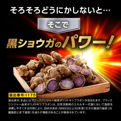 お腹の脂肪を減らす ブラックジンジャーサプリメント フラムジンジャー 機能性表示食品 3袋約3ヶ月分