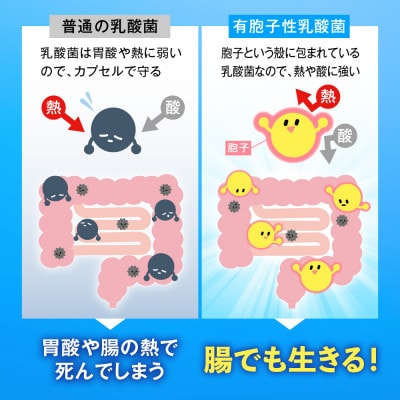 便秘傾向者の便通を改善する 乳酸菌サプリメント ラクトデル 機能性表示食品 3袋 約3ヶ月分