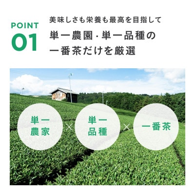 【高級粉末茶】ALL GREEN そうふう 普通煎茶 10包