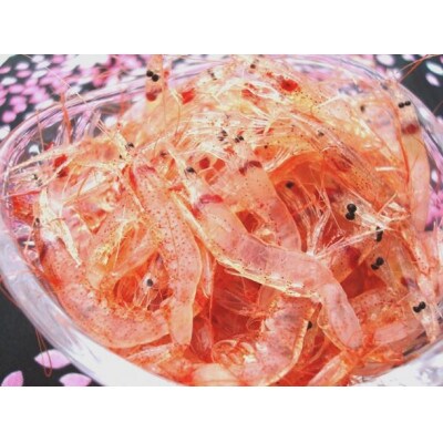 <原藤商店>由比港産　生桜えび　95g×2パック