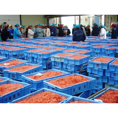 <原藤商店>由比港産　釜あげ桜えび　80g×2パック