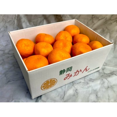 甘い青島みかん　2.5kg　静岡県より産地直送