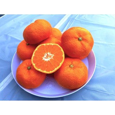 甘い青島みかん　2.5kg　静岡県より産地直送