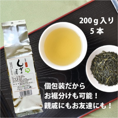 静岡茶 お茶のしずく3号 200g×5パックセット