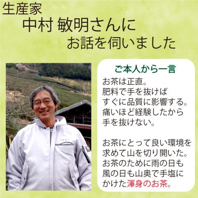 静岡市【静岡茶】 大川大間 100g2袋セット 本山茶
