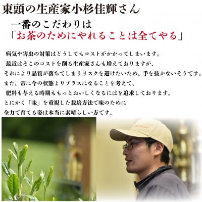 静岡茶 東頭100g 1本入り とうべっとう