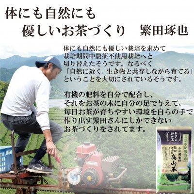 静岡市産煎茶2種セット繁田さんの高山茶80g 元祖静岡茶 100g 静岡県
