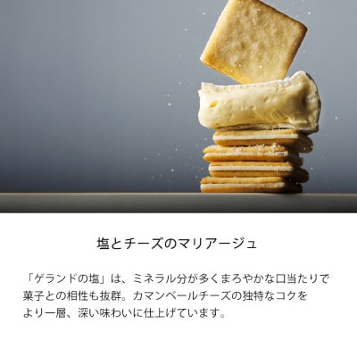 【東京ミルクチーズ工場】ソルト&カマンベールクッキー9枚入3箱セット