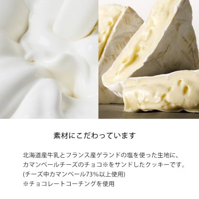 【東京ミルクチーズ工場】ソルト&カマンベールクッキー9枚入10箱セット