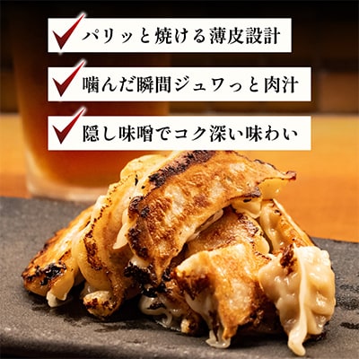 肉汁餃子(30個入×2袋)