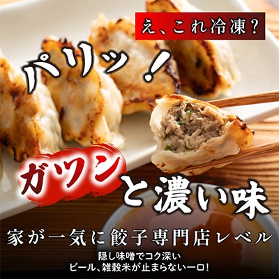 肉汁餃子(30個入×3袋)