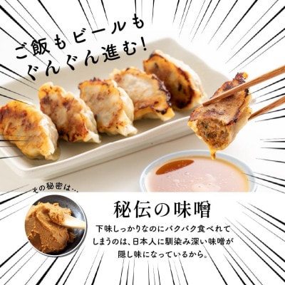 肉汁餃子(30個入×5袋)
