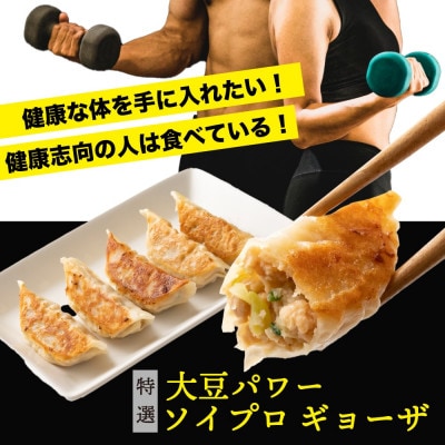 大豆パワー ソイプロギョーザ(30個入×5袋)