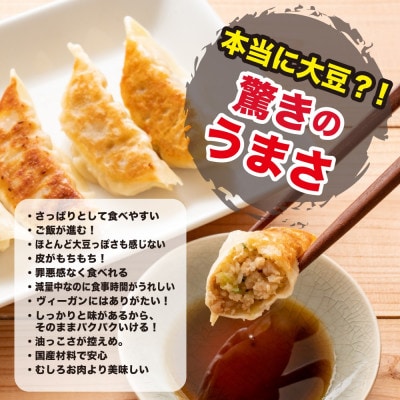大豆パワー ソイプロギョーザ(30個入×5袋)