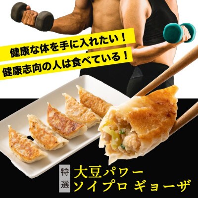 大豆パワー ソイプロギョーザ(30個入×10袋)