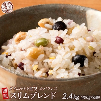 ダイエットを重視したバランス スリムブレンド 2.4kg(400g×6袋)