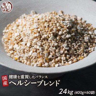 健康重視ヘルシーブレンド 24kg(400g×60袋)