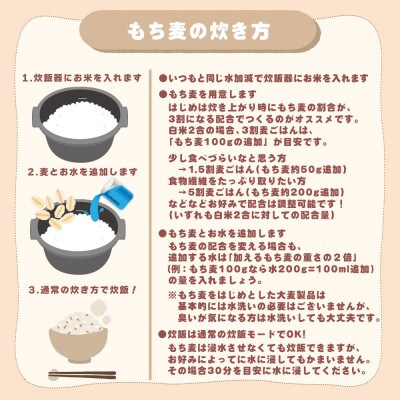 国産 もち麦 2.4kg(400g×6袋)