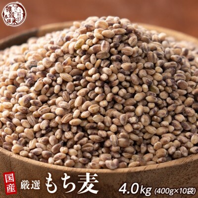 国産 もち麦 4.0kg(400g×10袋)