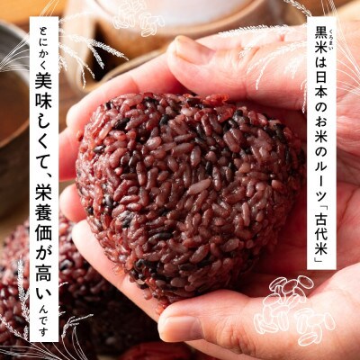 国産 黒米 2.4kg(400g×6袋)