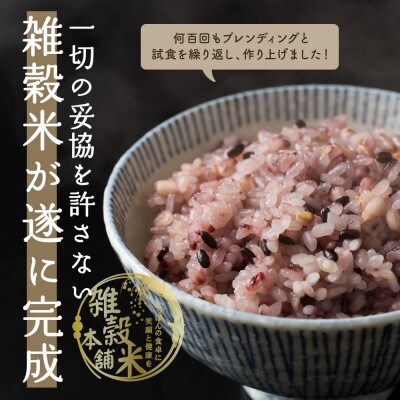 国産 胡麻香る十穀米 4.0kg(400g×10袋)