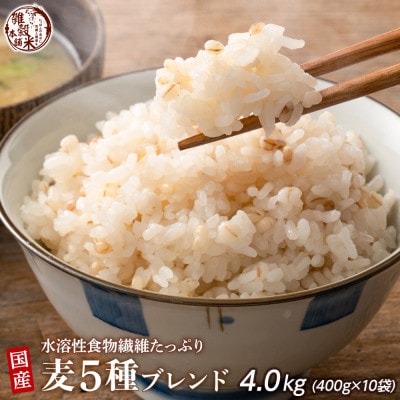 国産 麦5種ブレンド 4.0kg(400g×10袋)