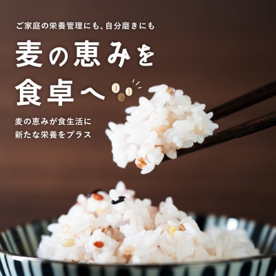 麦の恵み24穀米ブレンド 4kg(800g×5袋)