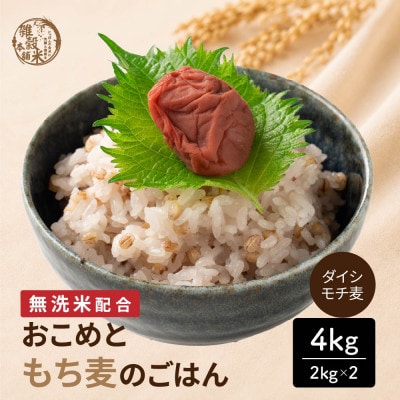 雑穀米本舗 国産 おこめともち麦のごはん 4kg(2kg×2袋)