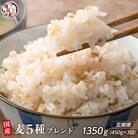 【毎月定期便】【3ヶ月定期便】国産麦5種ブレンド 450g全3回
