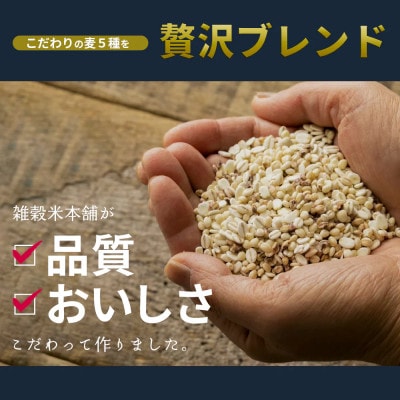 【毎月定期便】【3ヶ月定期便】国産麦5種ブレンド 450g×2袋全3回