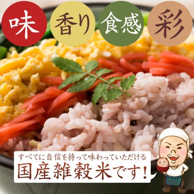 【毎月定期便】栄養満点23穀米 400g全3回