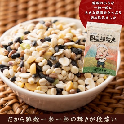 【毎月定期便】栄養満点23穀米 400g×2袋全3回