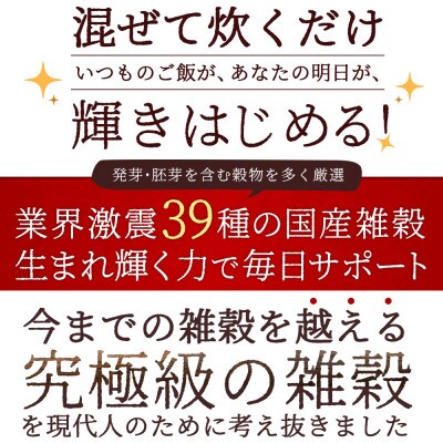 【毎月定期便】明日への輝き39穀米ブレンド 400g×2袋全3回