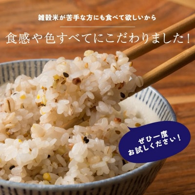 【毎月定期便】国産 健康重視ヘルシーブレンド 400g×2袋全3回