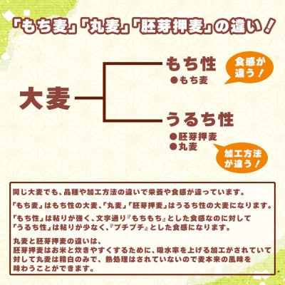 【毎月定期便】国産 もち麦 400g全3回