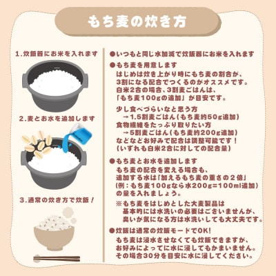 【毎月定期便】国産 もち麦 400g全3回