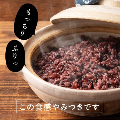 【毎月定期便】国産黒米 400g×2袋全3回