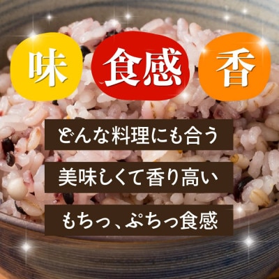 【毎月定期便】胡麻香る十穀米 400g×2袋全3回