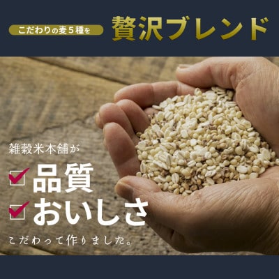 【毎月定期便】国産麦5種ブレンド 400g×2袋全3回