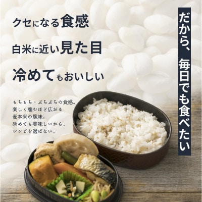 【毎月定期便】国産麦5種ブレンド 400g×2袋全3回
