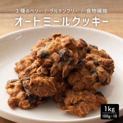 オートミールクッキー 3種のベリー 1kg(100g×10袋)