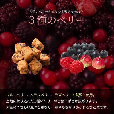 ソイキューブ 3種のベリー 600g(100g×6袋)